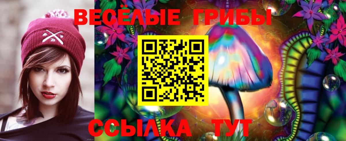 Псилоцибиновые грибы прущие грибы  Вход с VPN  Минусинск  Галлюциногенные грибы Psilocybe 